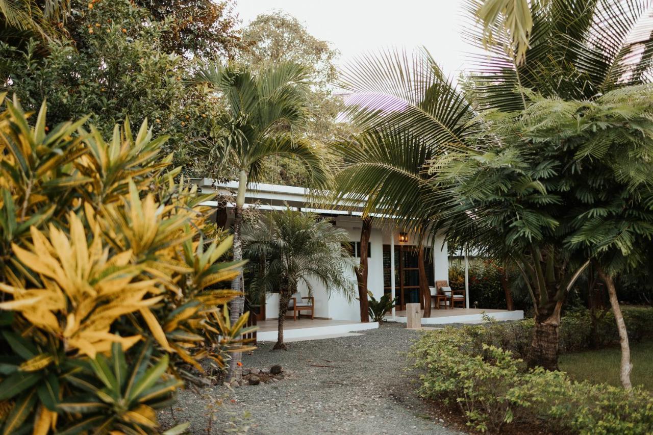 Salvatierra Beachfront Hotel Puerto Coyote 外观 照片